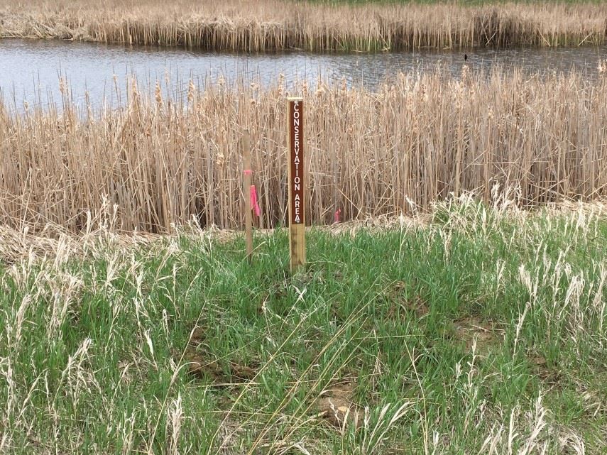 Conservation Easement