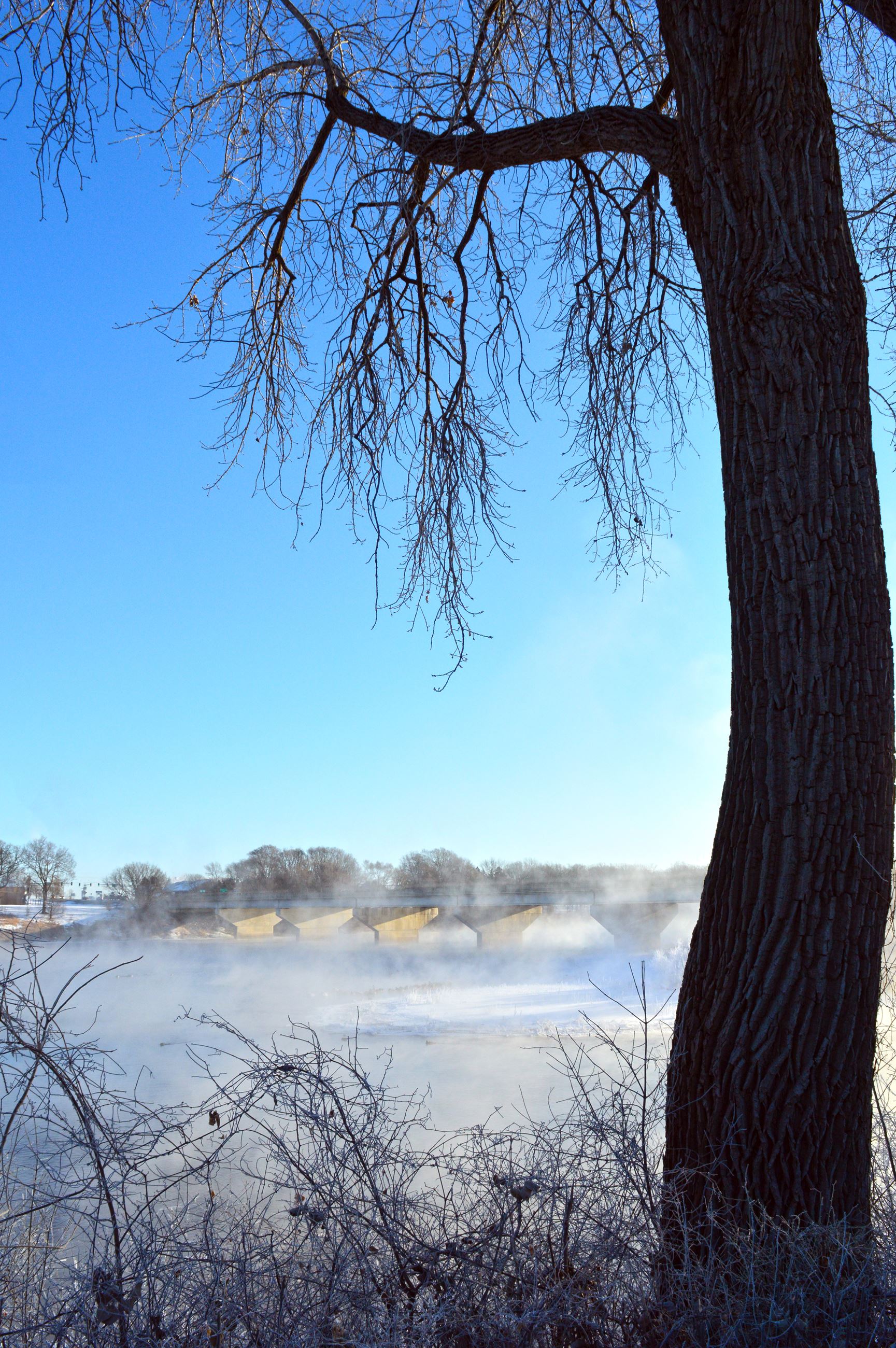 Foggy Bridge - West Bridge Park