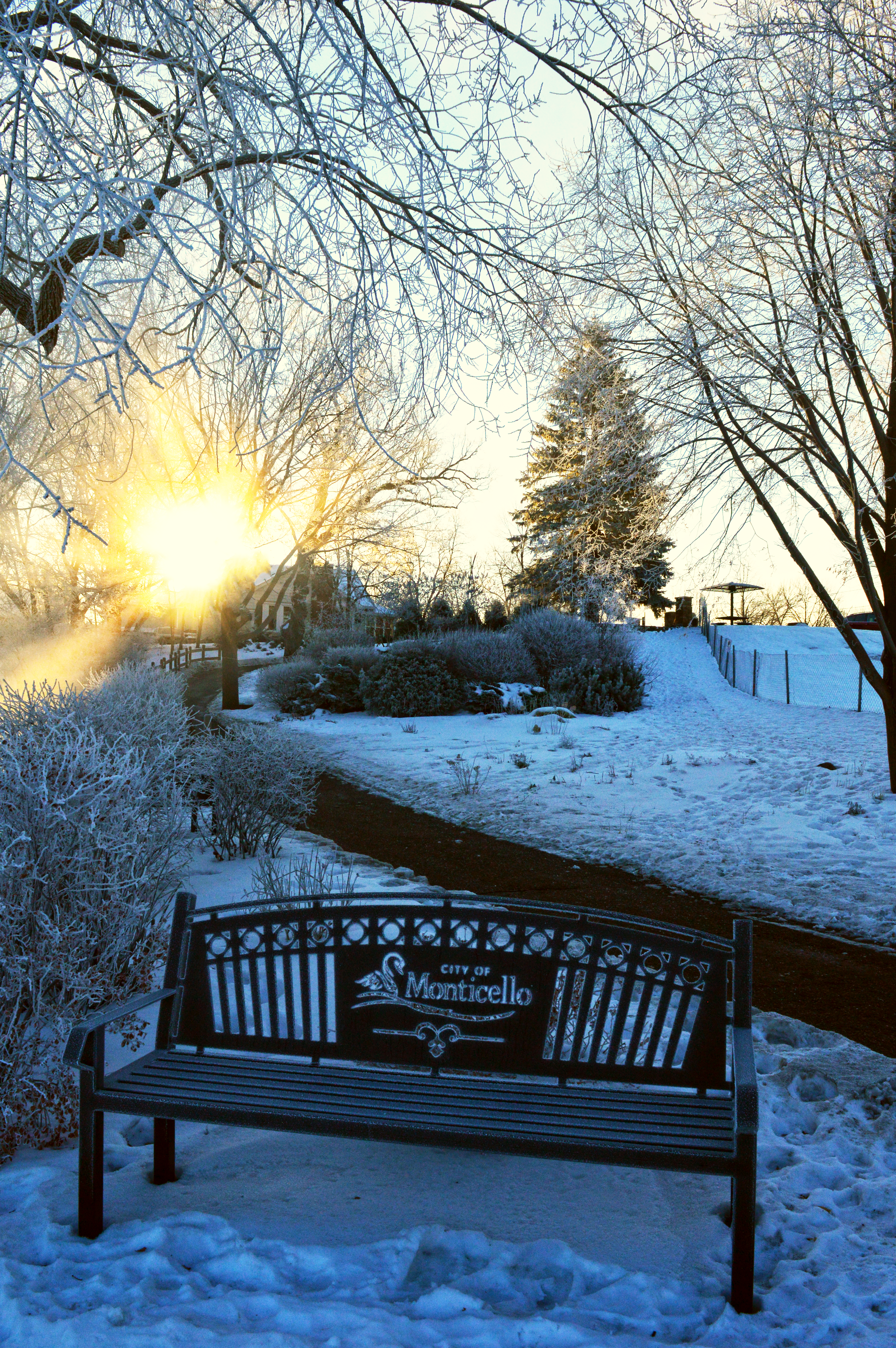 Sunny Bench at East Bridge Park