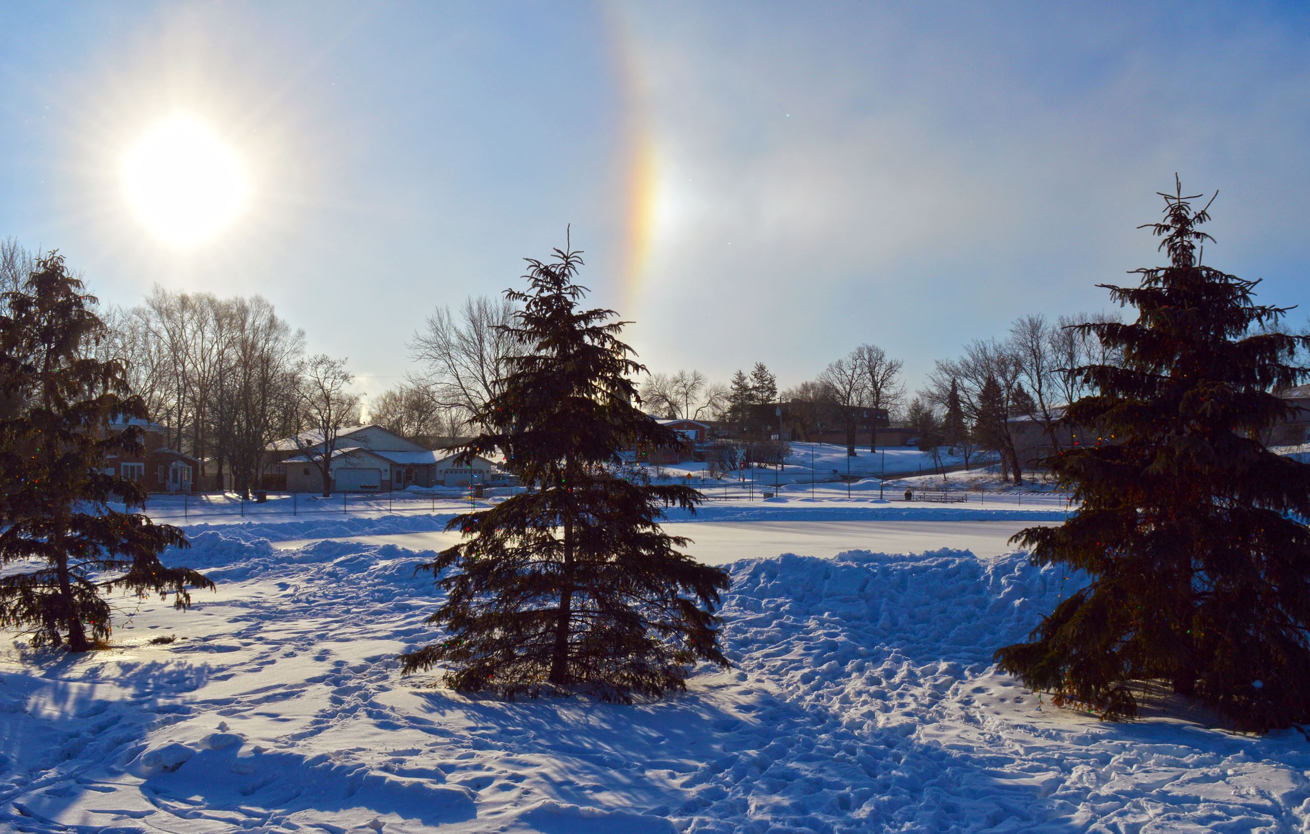 Trees and Sundog at 4th Street Rink